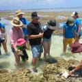 A group of people stand in shallow water being taught how to colour match coral